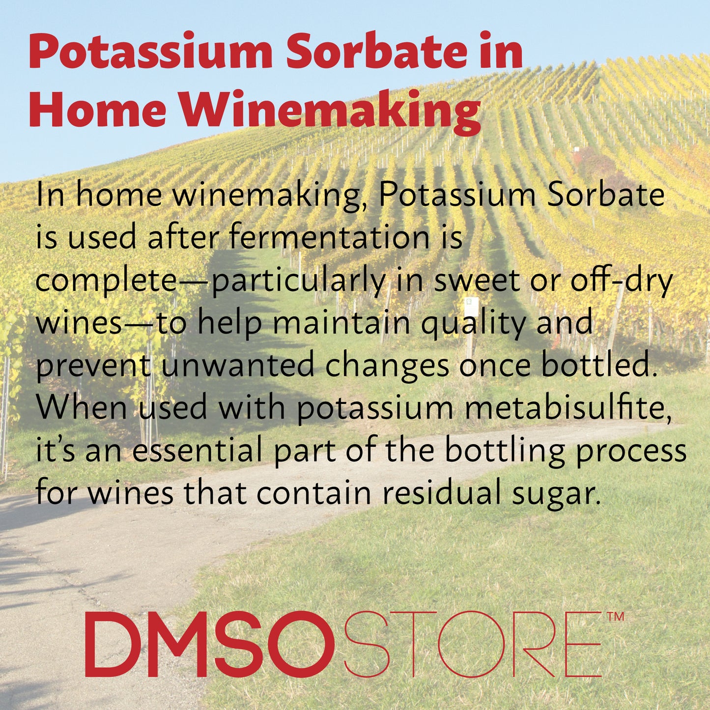 Potassium Sorbate 1 lb - Food Grade Preservative for Winemaking & Food