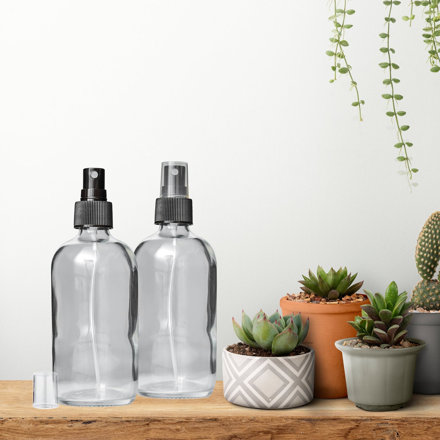 2 Clear Glass 8 oz Bottles with Fine Mist Sprayer | BPA- and Lead-Free