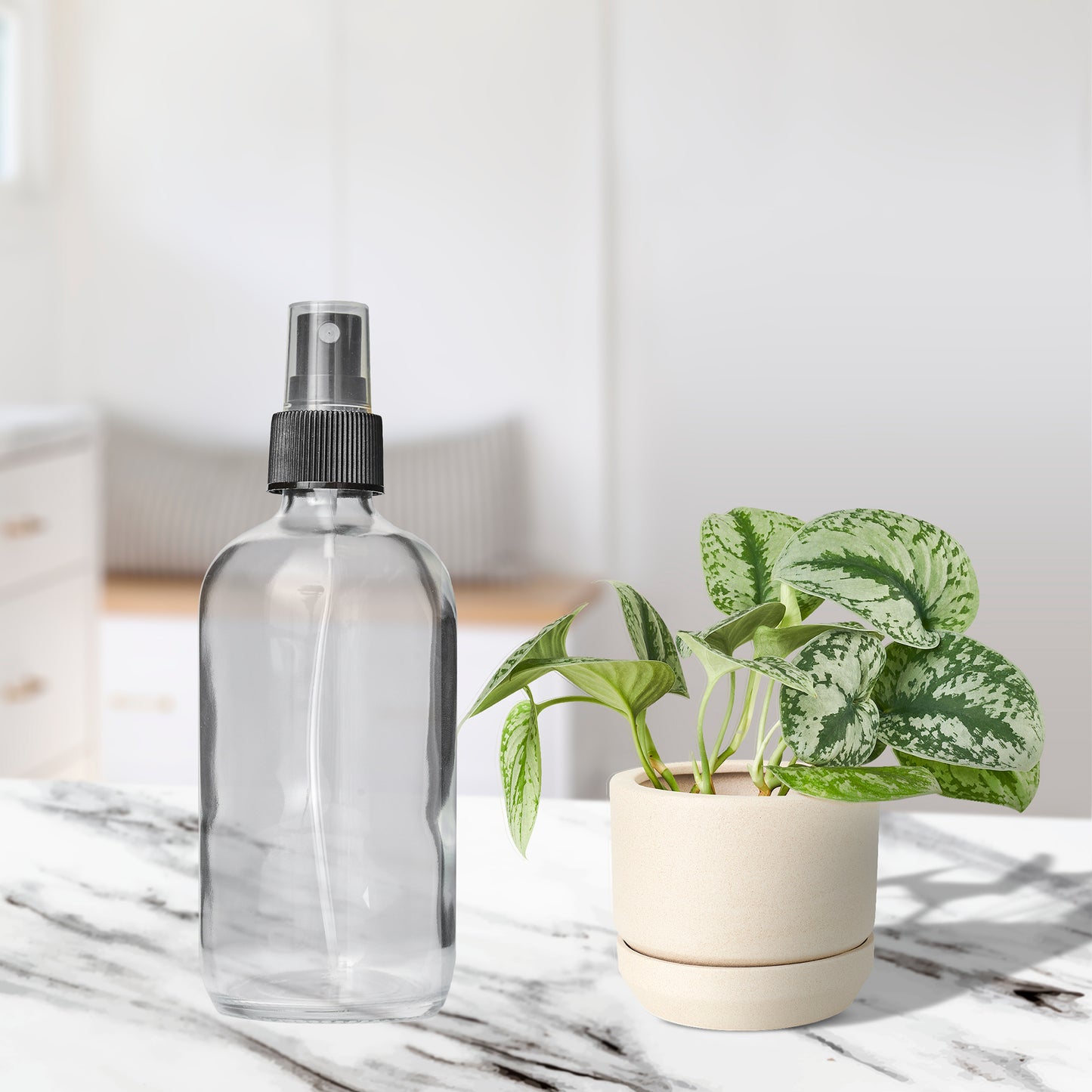 Clear Glass 8 oz Bottle with Fine Mist Sprayer | BPA- and Lead-Free