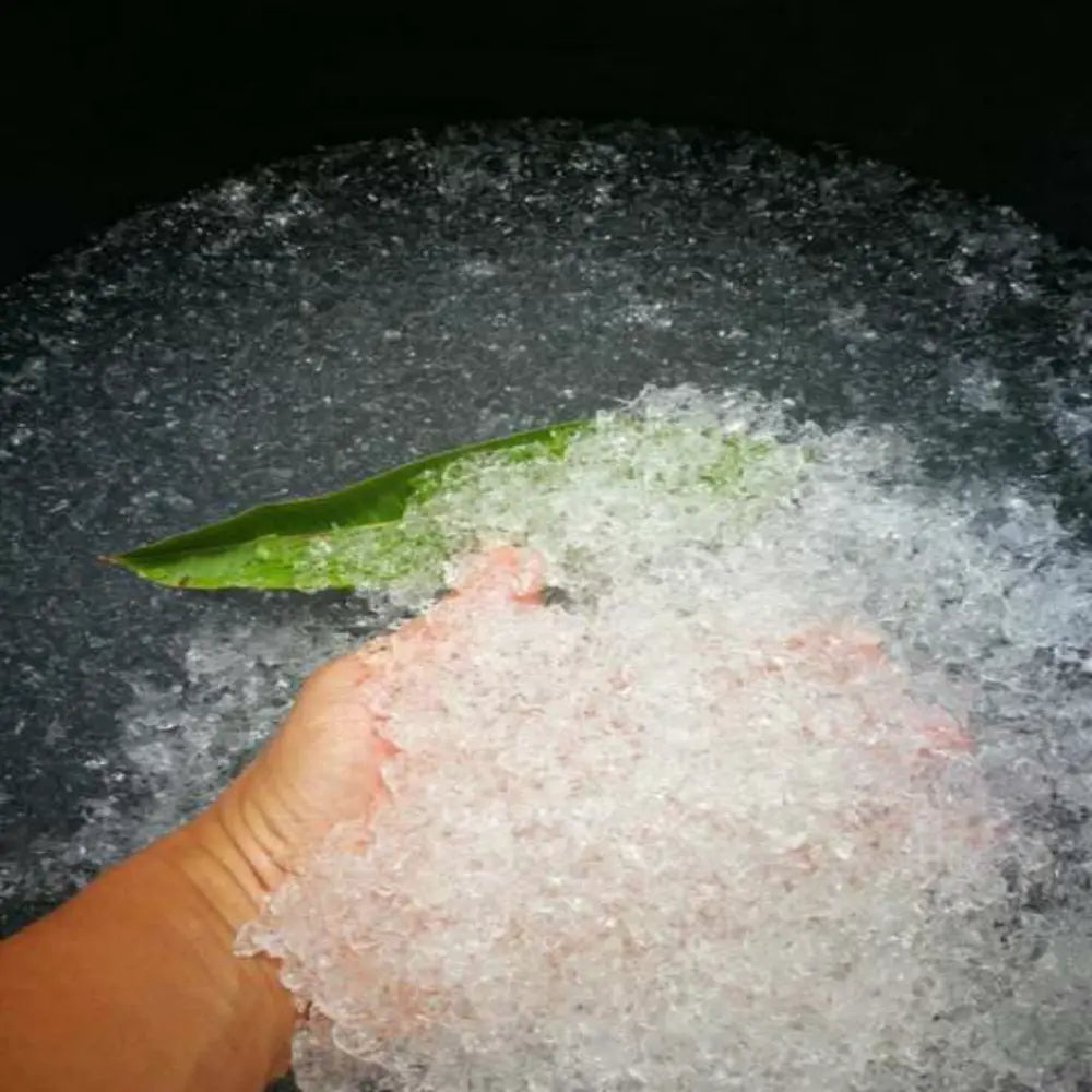 a handful of sodium polyacrylate soaked in water