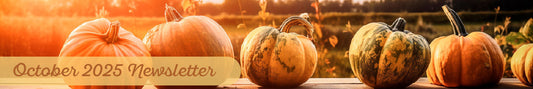 October Newsletter | Wicked Good Essentials