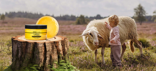 A child hugging a woolly sheep in a field with a jar of Natural Lanolin placed on a tree stump.