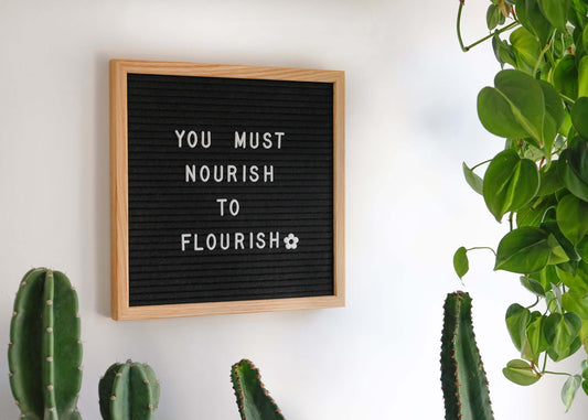Inspirational Quote " you must noursish to flourish" on a letterboard with plants and cacti surrounding, mentioning DMSO