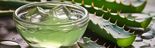 Exploring the Potential of DMSO Gel Aloe Vera for Skin Health and Pain Relief