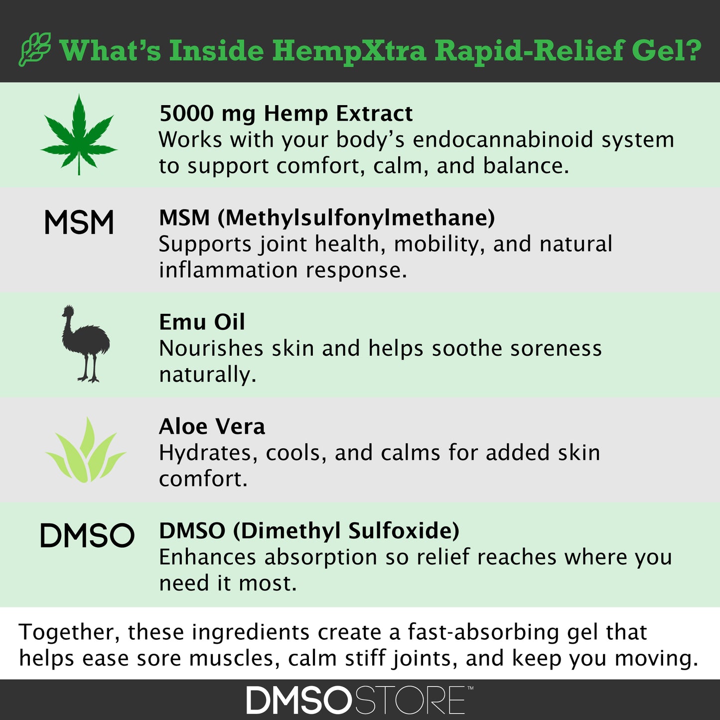 HempXtra Rapid Relief Gel 4 oz Natural Hemp Extract